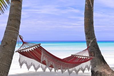 Navigating Luxury Hotel Taxes and Growth in South Asia & Mauritius